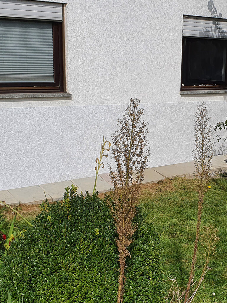 kewabo® gmbh niederlassung krefeld referenzen